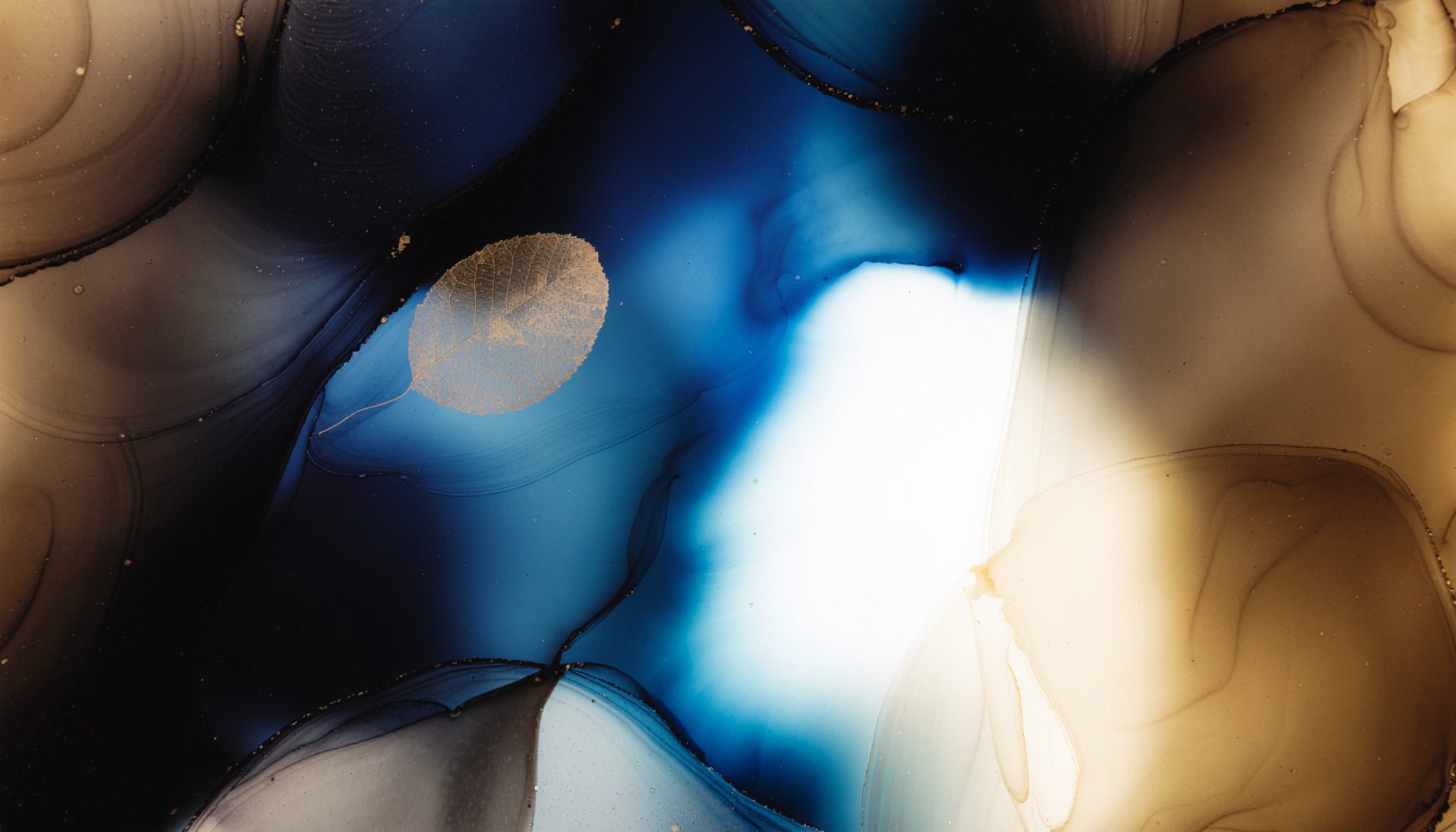 Bluenjell – A Little Moment of Calm | Dreamy Chillout Visual 1 Firefly A single delicate golden leaf floating through an abstract universe of swirling cobal 528646 scaled